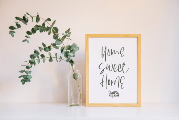 South Dreamers Script Font 8