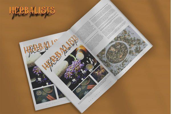 The Kingston Script Font 5