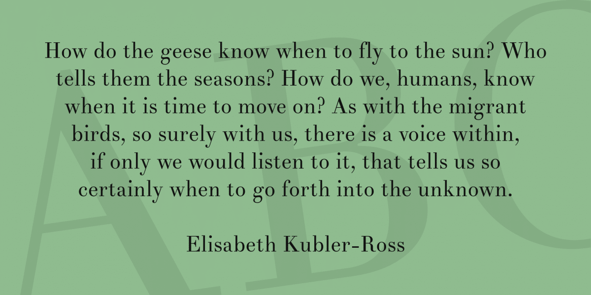 Theano Didot Font  2