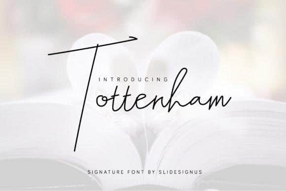 Tottenham Font 1