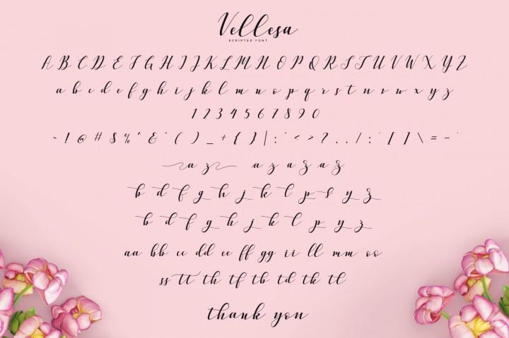 Vellesa Script Font 5