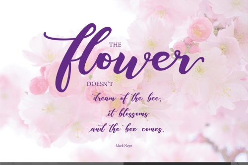 ANISHA-Script-Font-Free--2