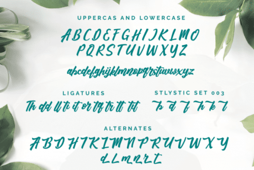 Adhellia Script Font 9