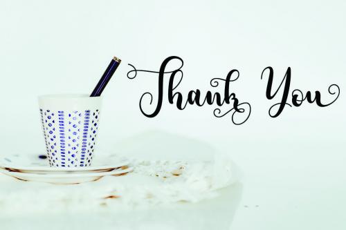 Adreena Script Font 10