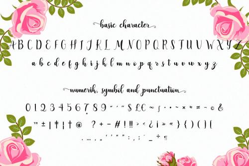 Adreena Script Font 6