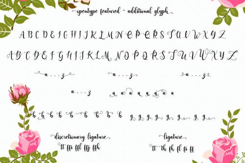 Adreena Script Font 8