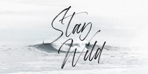 Aerobrush Brush Font 9