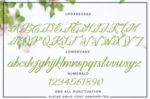Albias Smug Script Font 3