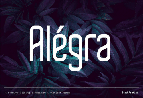 Alegra-Sans-Serif-Font-0