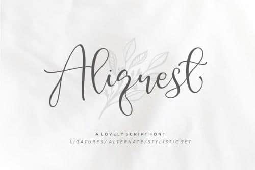 Aliquest Script Font