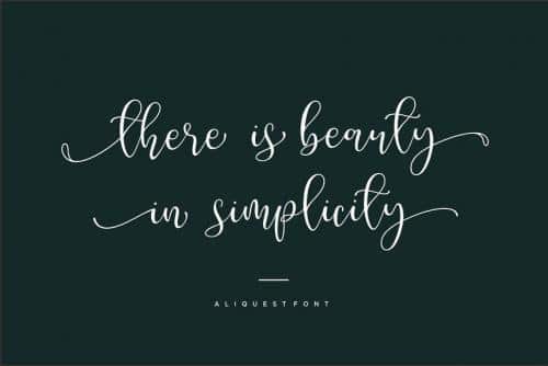 Aliquest Script Font 6