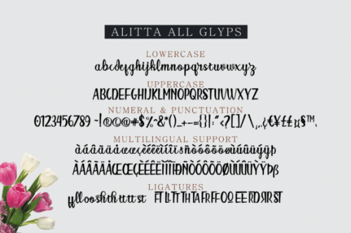 Alitta Font 11