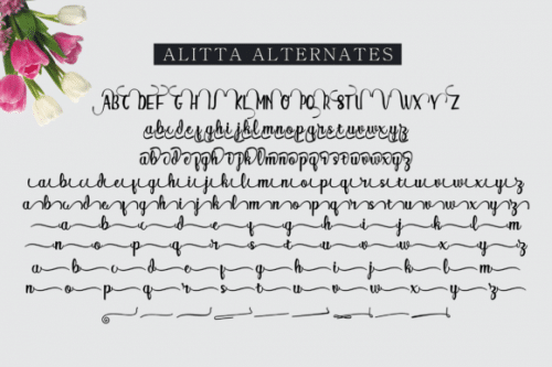Alitta Font 12