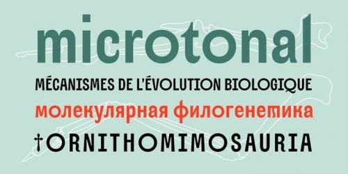 Alter Aves Sans Serif Font   1