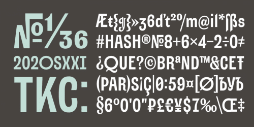 Alter Aves Sans Serif Font   10