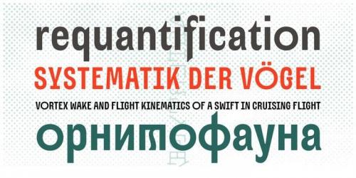 Alter Aves Sans Serif Font   2