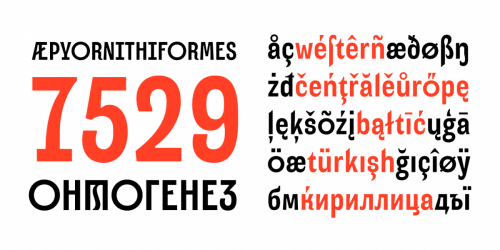 Alter Aves Sans Serif Font   6