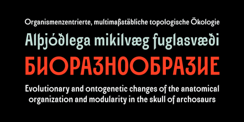 Alter Aves Sans Serif Font   8