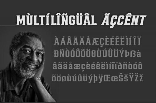 Alterous Display Font 4