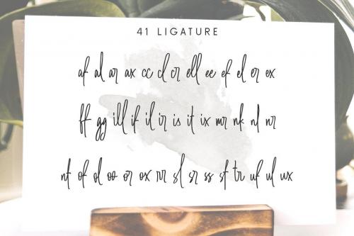 Amanda Santiago Script Font 6