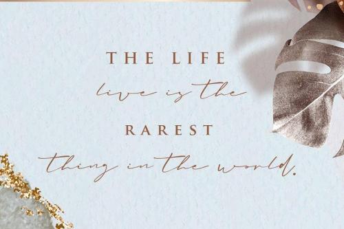 Amanda Signature Script Font  6