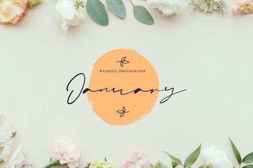 Amanda Signature Script Font  7
