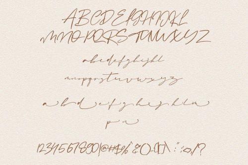 Amanda Signature Script Font  8