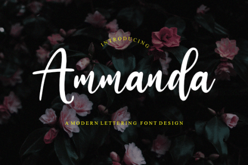 Ammanda Handwritten Script Font