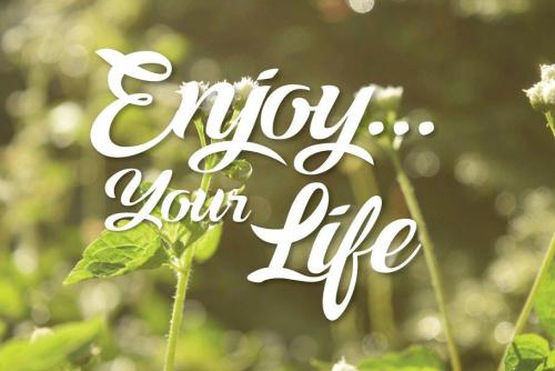 Ampera Script Font Free  1