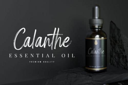 Amsterdam Signature Brush Font 8