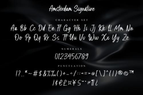 Amsterdam Signature Brush Font 9