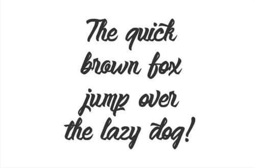 Anemone Script Font 3