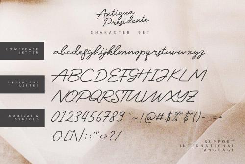 Antigua Presidente Script Font 6