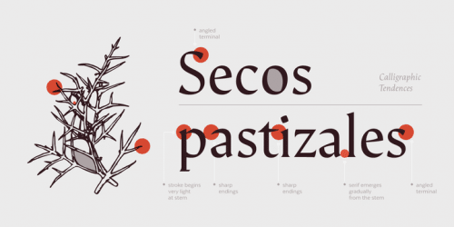 Arida Serif Font 6