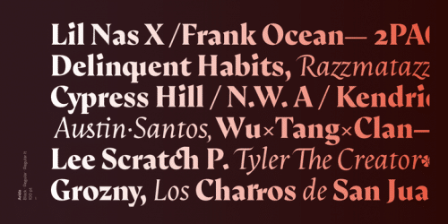 Arida Serif Font 8