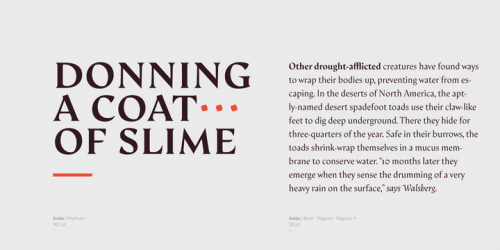 Arida Serif Font 9