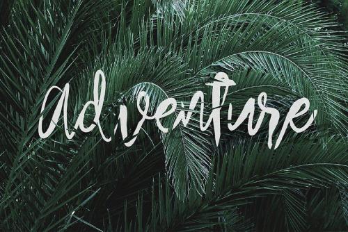 Arthard Script Font Free 2