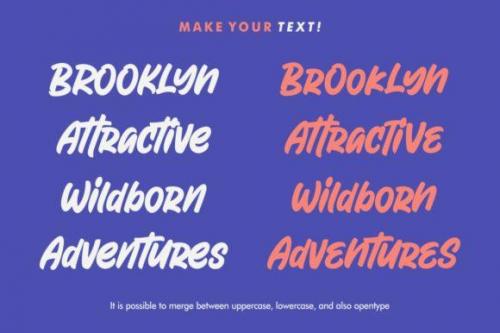 Attractype Reborn Script Font 3