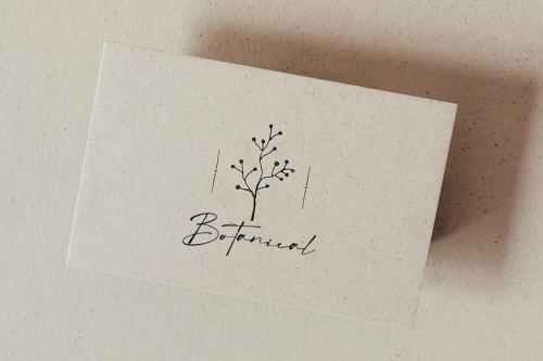 Austin Signature Script Font 2