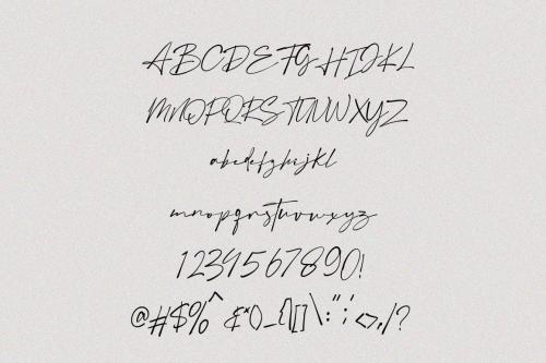 Austin Signature Script Font 9