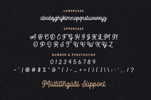 Autoguard Monoline Font 7
