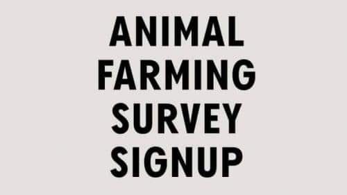 Axel Grotesk Sans Serif Font 4