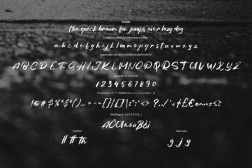 Balges Brush Script Font 5