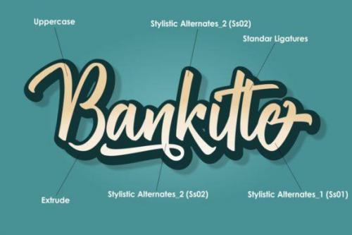 Bankitte Handlettered Font 6