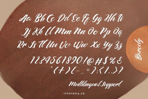 Barcely Fancy Script Font 2