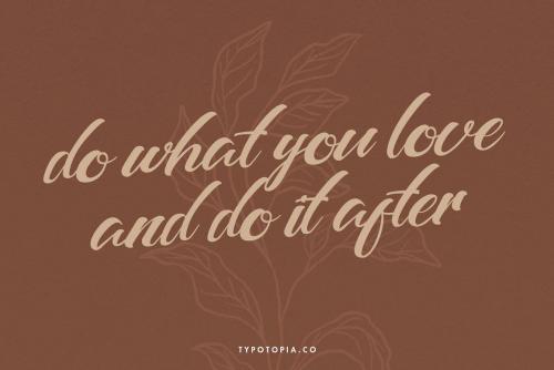 Barcely Fancy Script Font 3