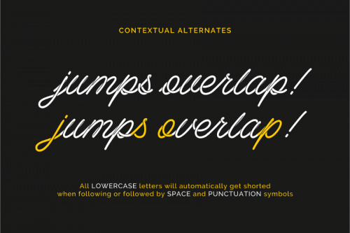 Barista Script Font Free  1