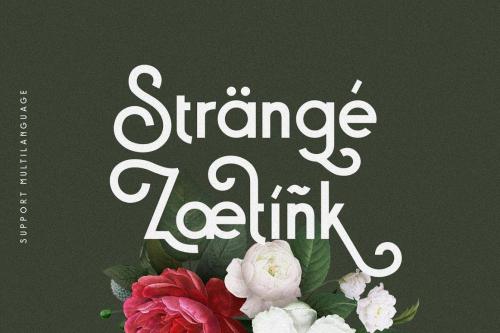 Baxoe Sans Fancy Typeface 4