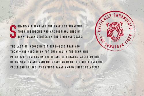 Beatster Typeface  4