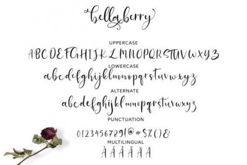 Bella Berry Font 4